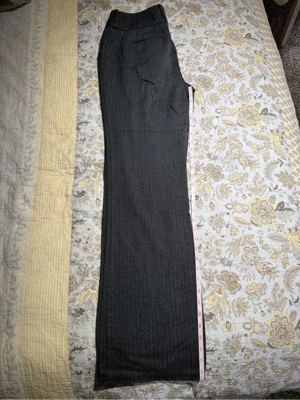 Mossimo Supply Co. Black and Gray Herringbone Dress Pants with Teal Trim